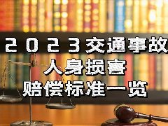 2023年上海交通事故/人身损害赔偿标准